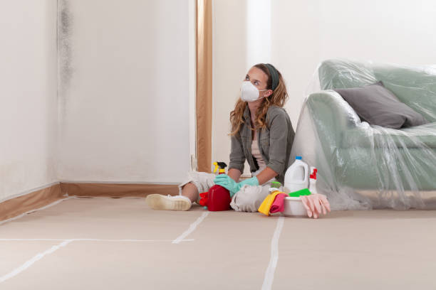 Reliable Mold Inspection contractor in Stony Brook, NY by WQB Mold Removal